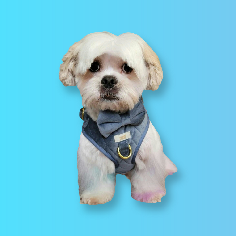Happi Puppi Kit (Arnés, Leash, Poop Bag, Collar y Lazo) - Azul