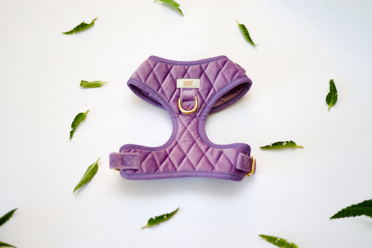 Happi Puppi Kit (Arnés, Leash, Poop Bag, Collar y Lazo) - Violeta