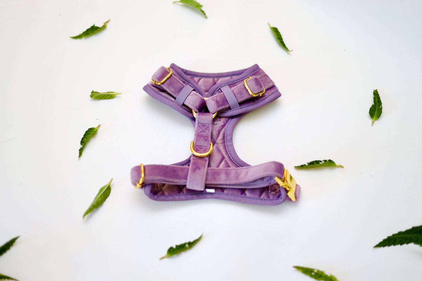 Happi Puppi Kit (Arnés, Leash, Poop Bag, Collar y Lazo) - Violeta