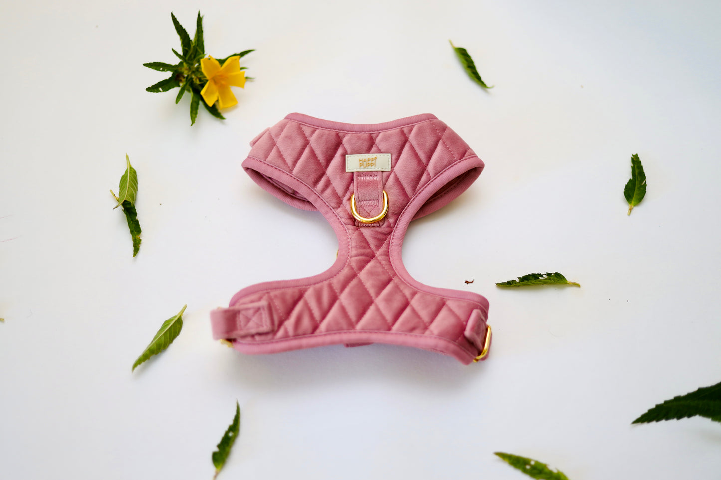 Arnés, Leash y Poop Bag - Rosa