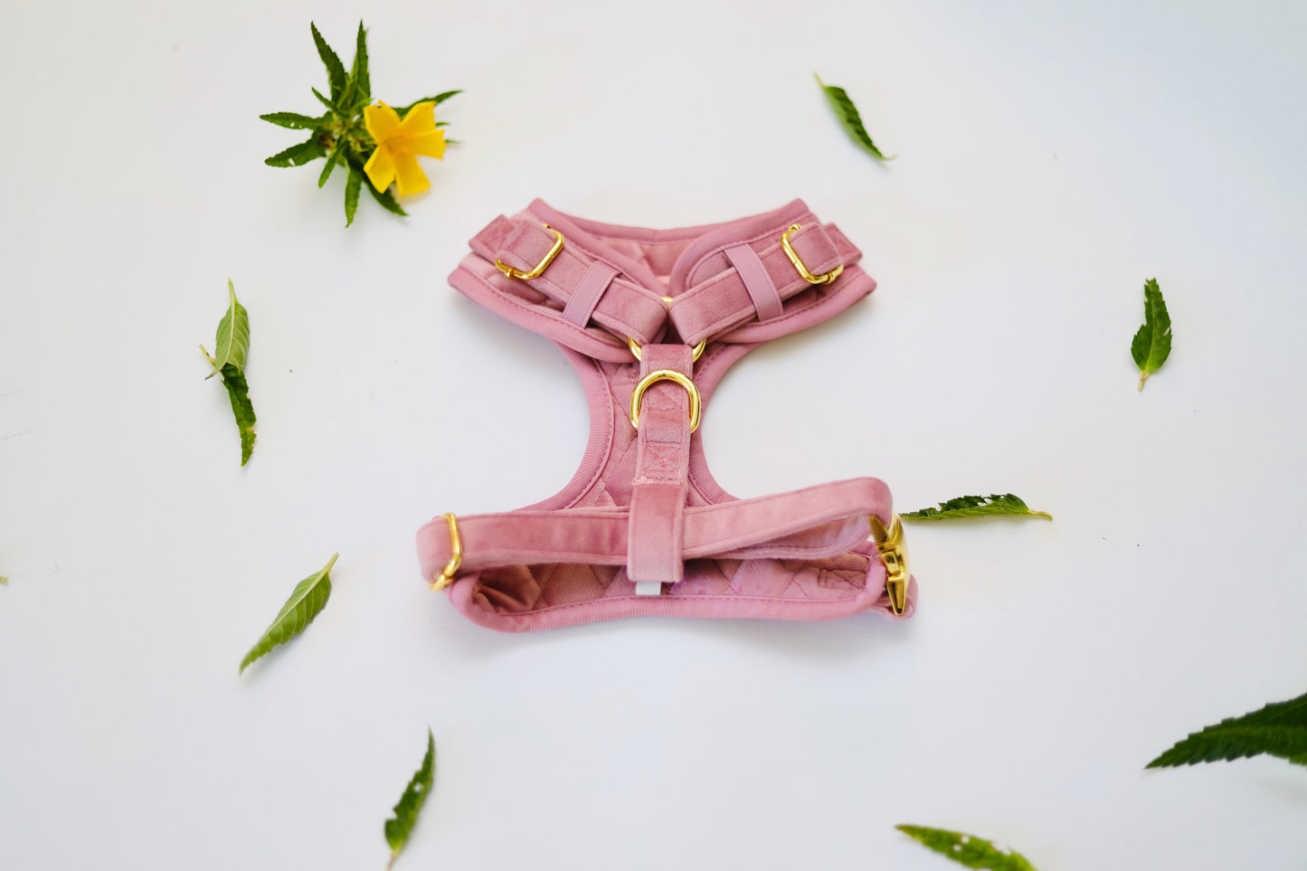 Arnés, Leash y Poop Bag - Rosa