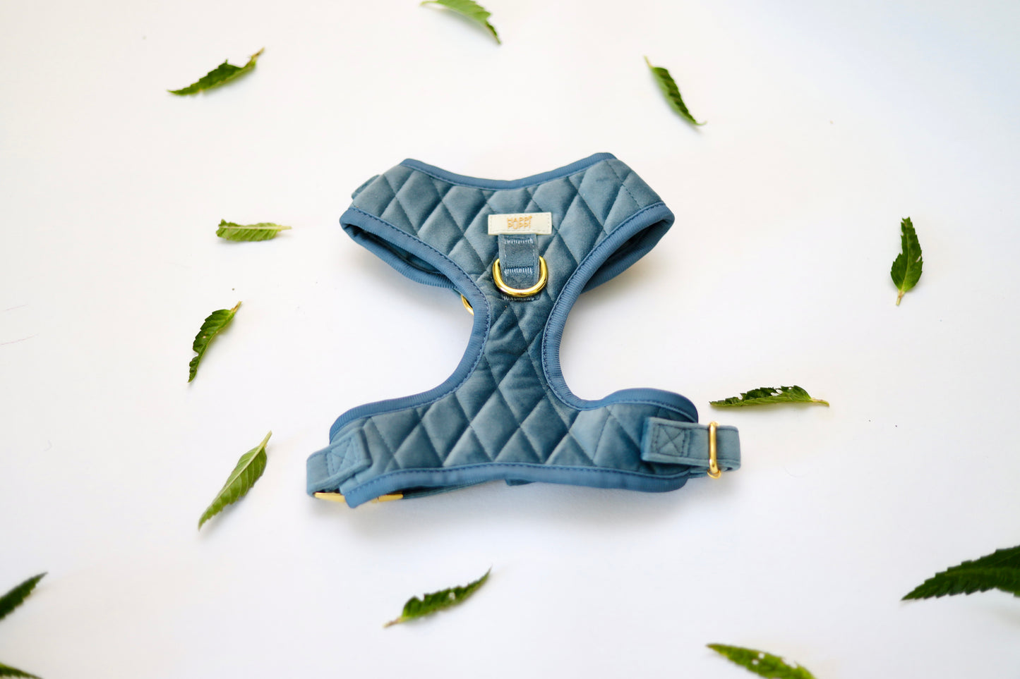 Happi Puppi Kit (Arnés, Leash, Poop Bag, Collar y Lazo) - Azul