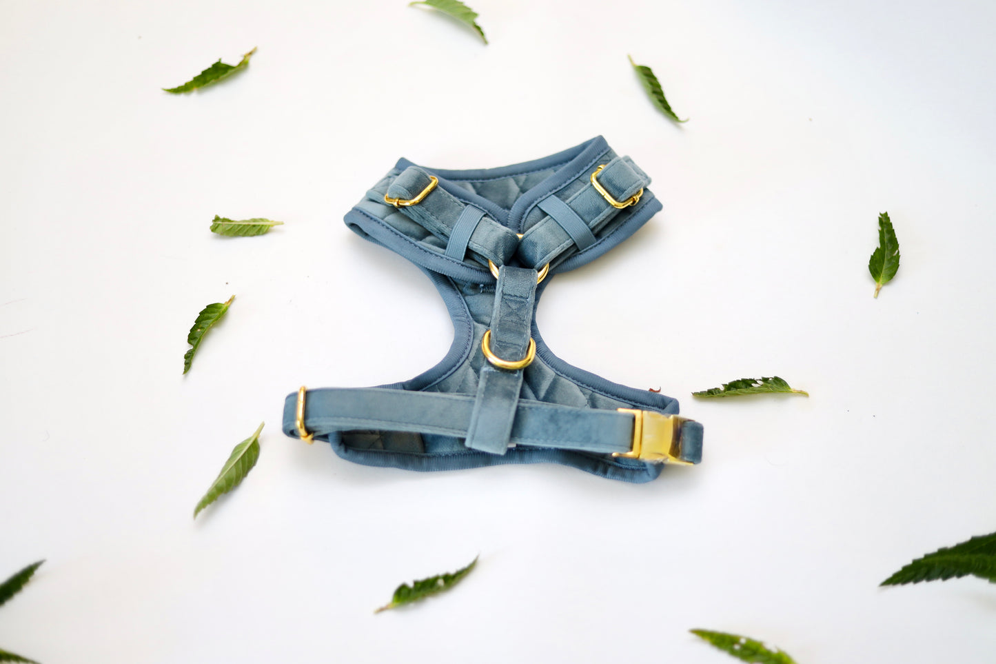 Happi Puppi Kit (Arnés, Leash, Poop Bag, Collar y Lazo) - Azul