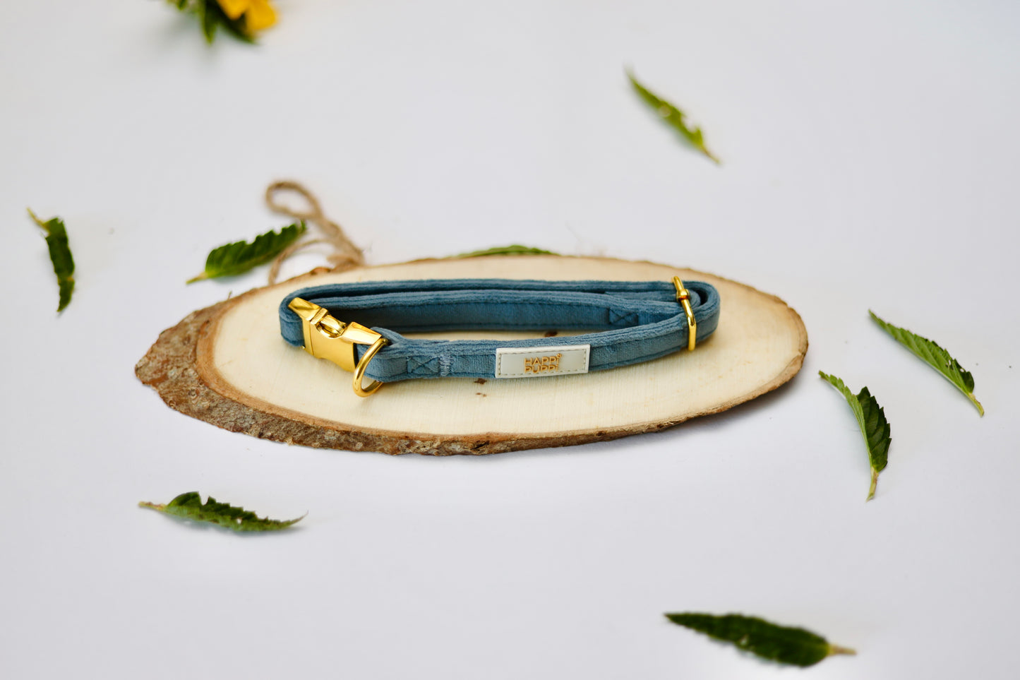 Happi Puppi Kit (Arnés, Leash, Poop Bag, Collar y Lazo) - Azul