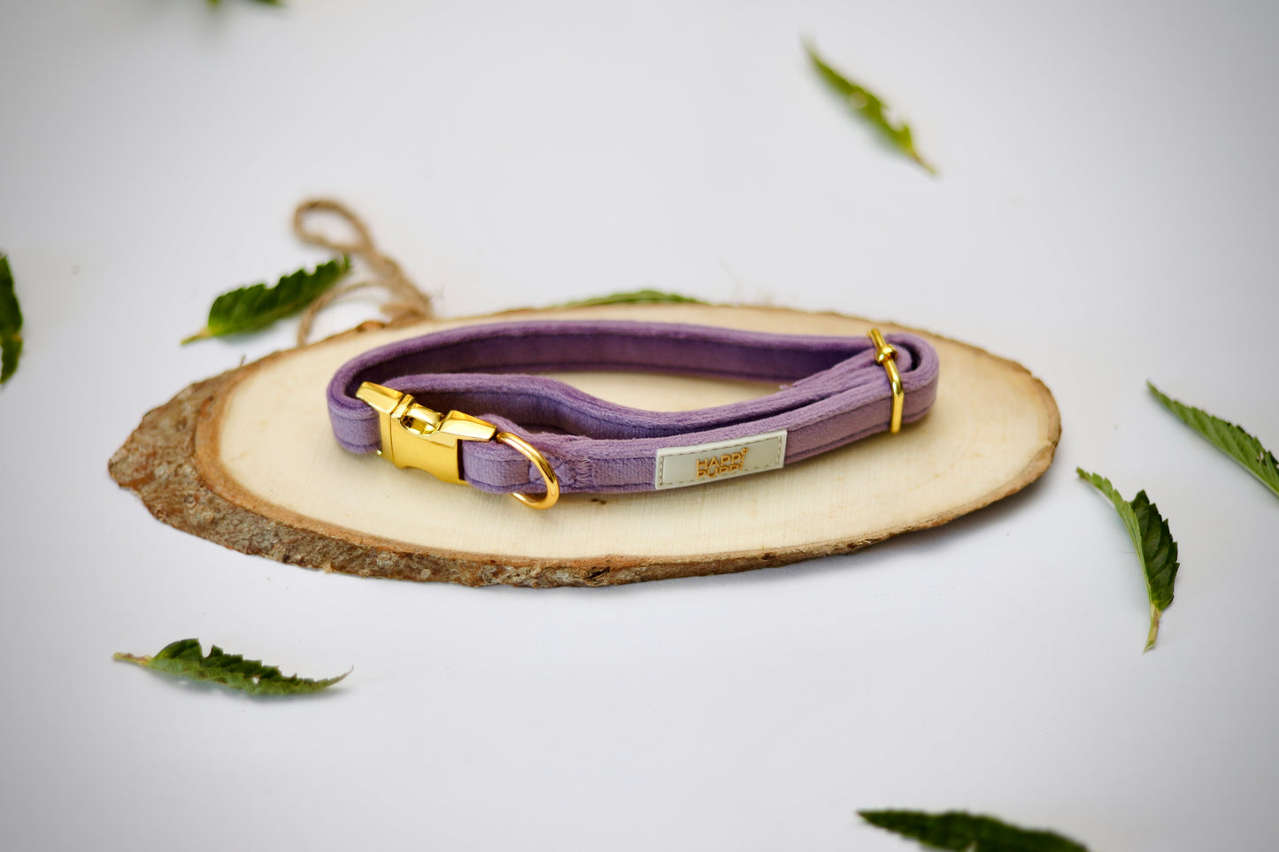 Happi Puppi Kit (Arnés, Leash, Poop Bag, Collar y Lazo) - Violeta