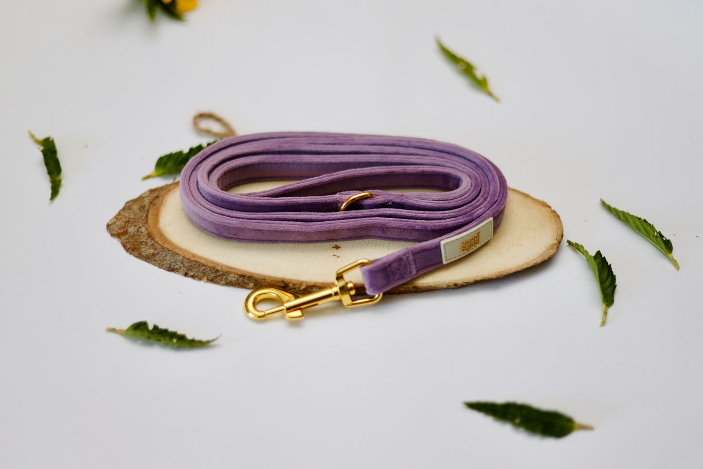 Happi Puppi Kit (Arnés, Leash, Poop Bag, Collar y Lazo) - Violeta