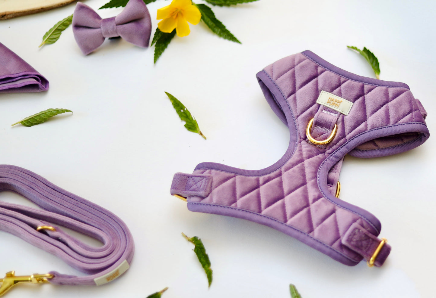 Happi Puppi Kit (Arnés, Leash, Poop Bag, Collar y Lazo) - Violeta