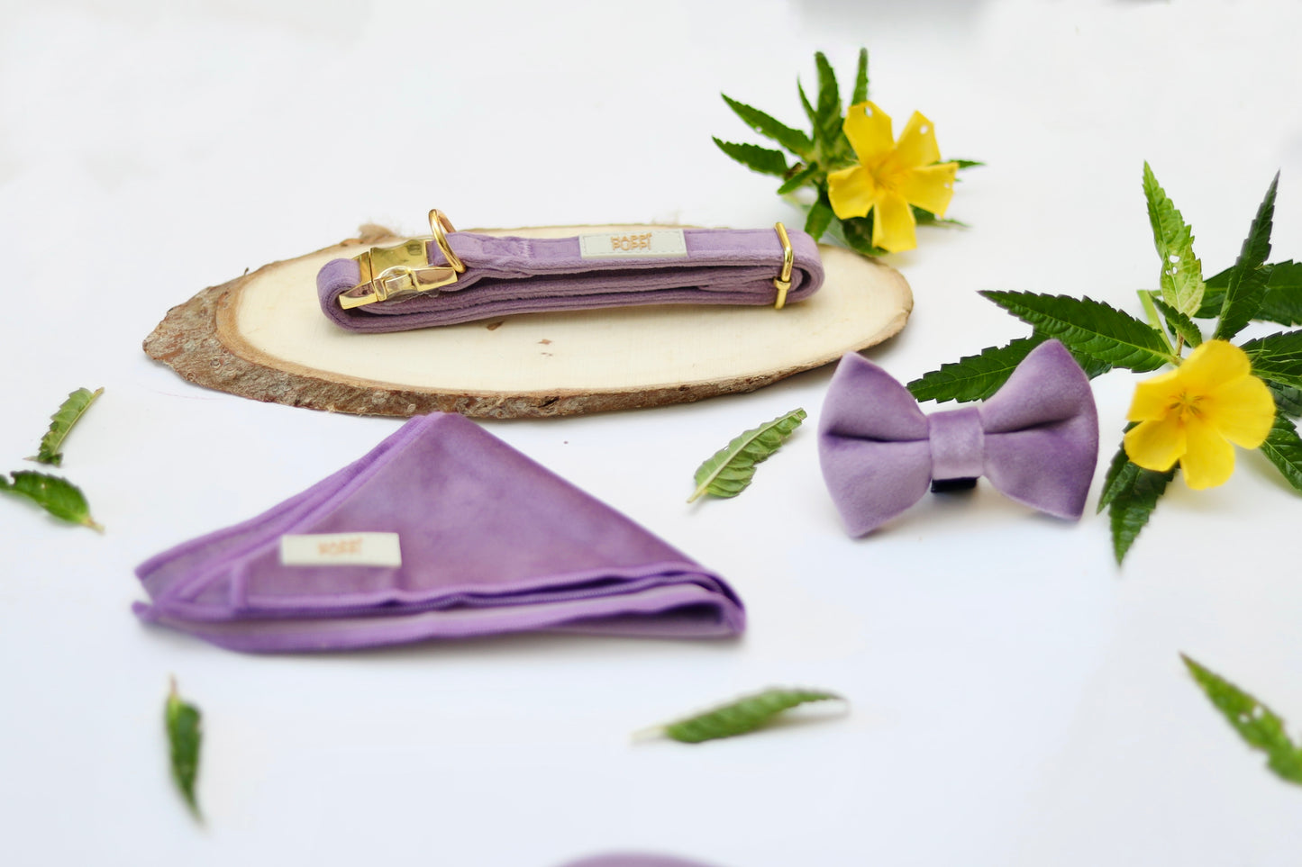 Happi Puppi Kit (Arnés, Leash, Poop Bag, Collar y Lazo) - Violeta