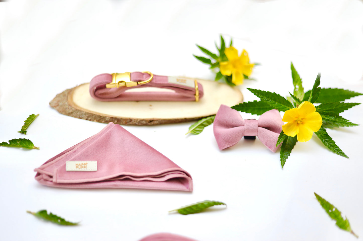 Happi Puppi Kit (Arnés, Leash, Poop Bag, Collar y Lazo) - Rosa