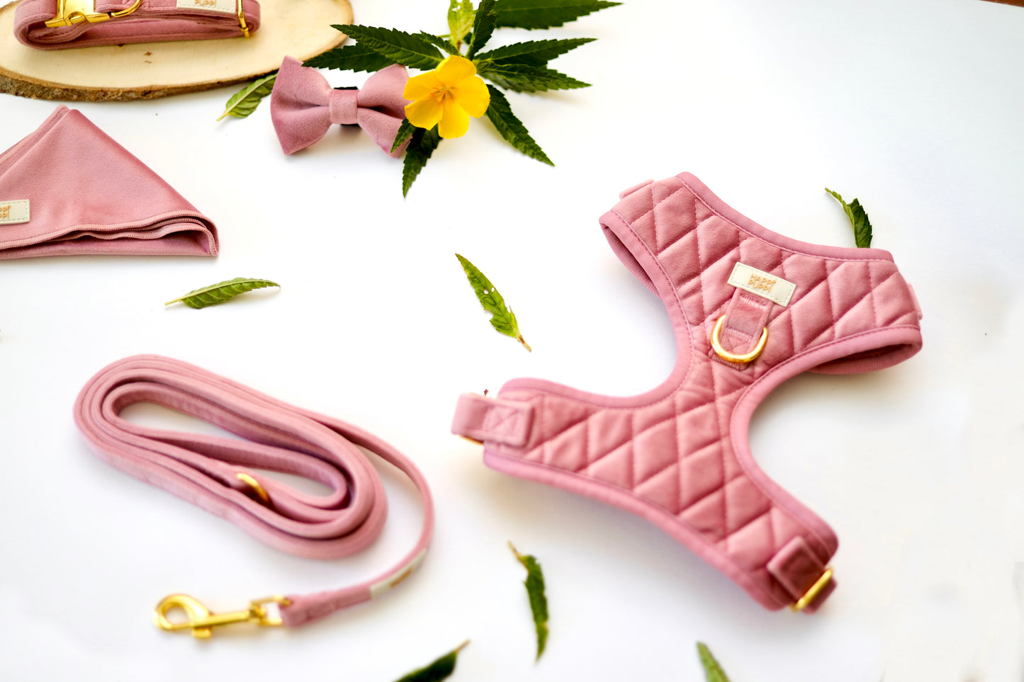Happi Puppi Kit (Arnés, Leash, Poop Bag, Collar y Lazo) - Rosa