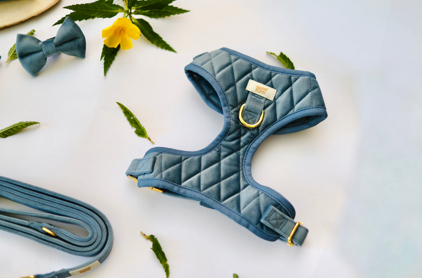 Happi Puppi Kit (Arnés, Leash, Poop Bag, Collar y Lazo) - Azul