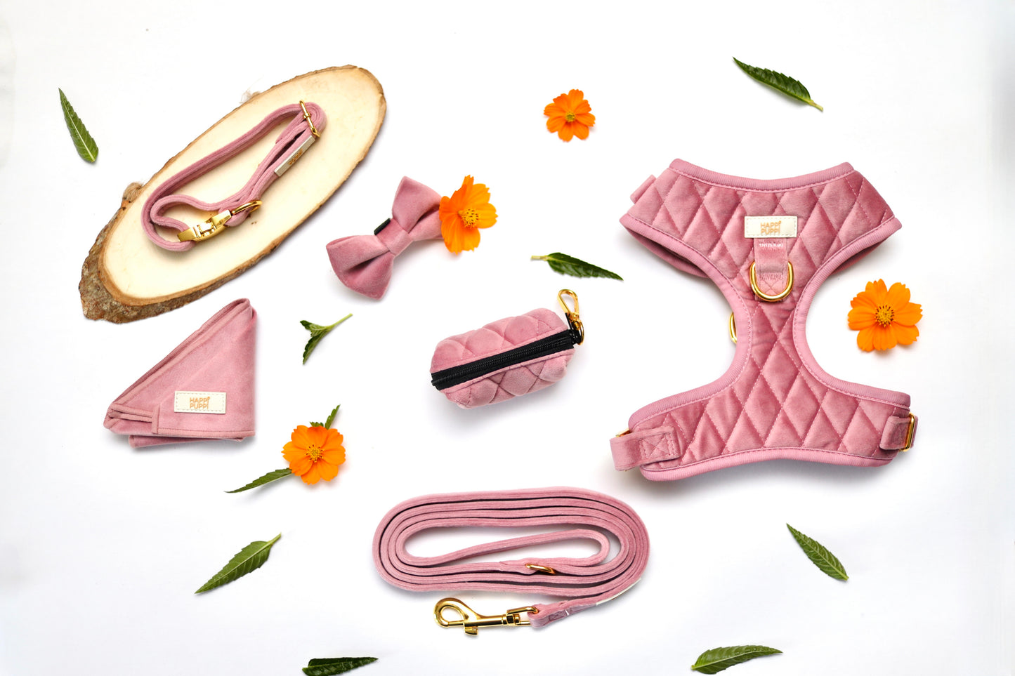 Happi Puppi Kit (Arnés, Leash, Poop Bag, Collar y Lazo) - Rosa