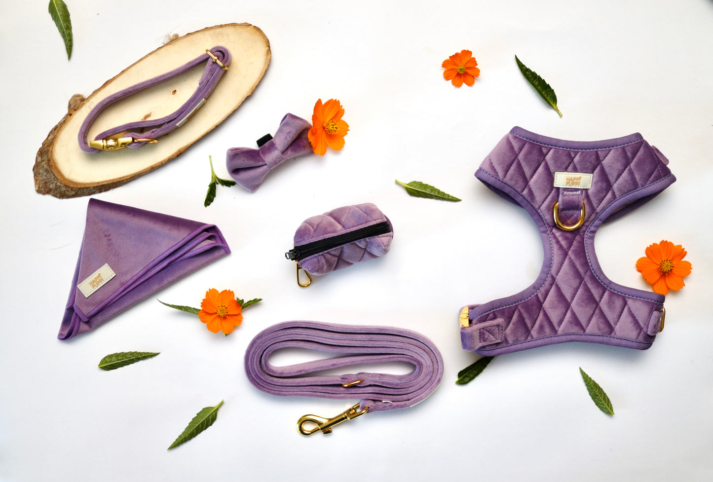 Happi Puppi Kit (Arnés, Leash, Poop Bag, Collar y Lazo) - Violeta