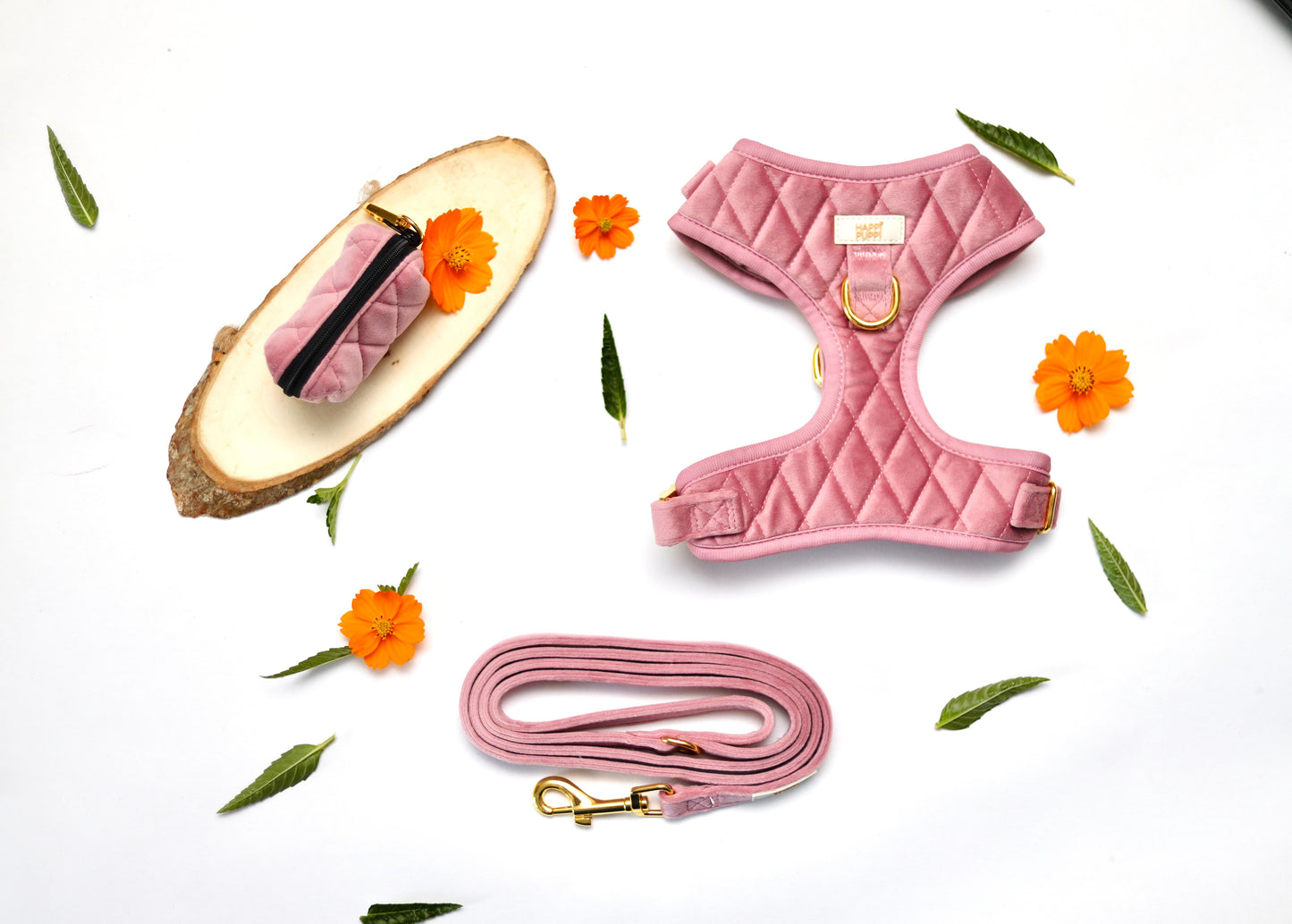 Arnés, Leash y Poop Bag - Rosa