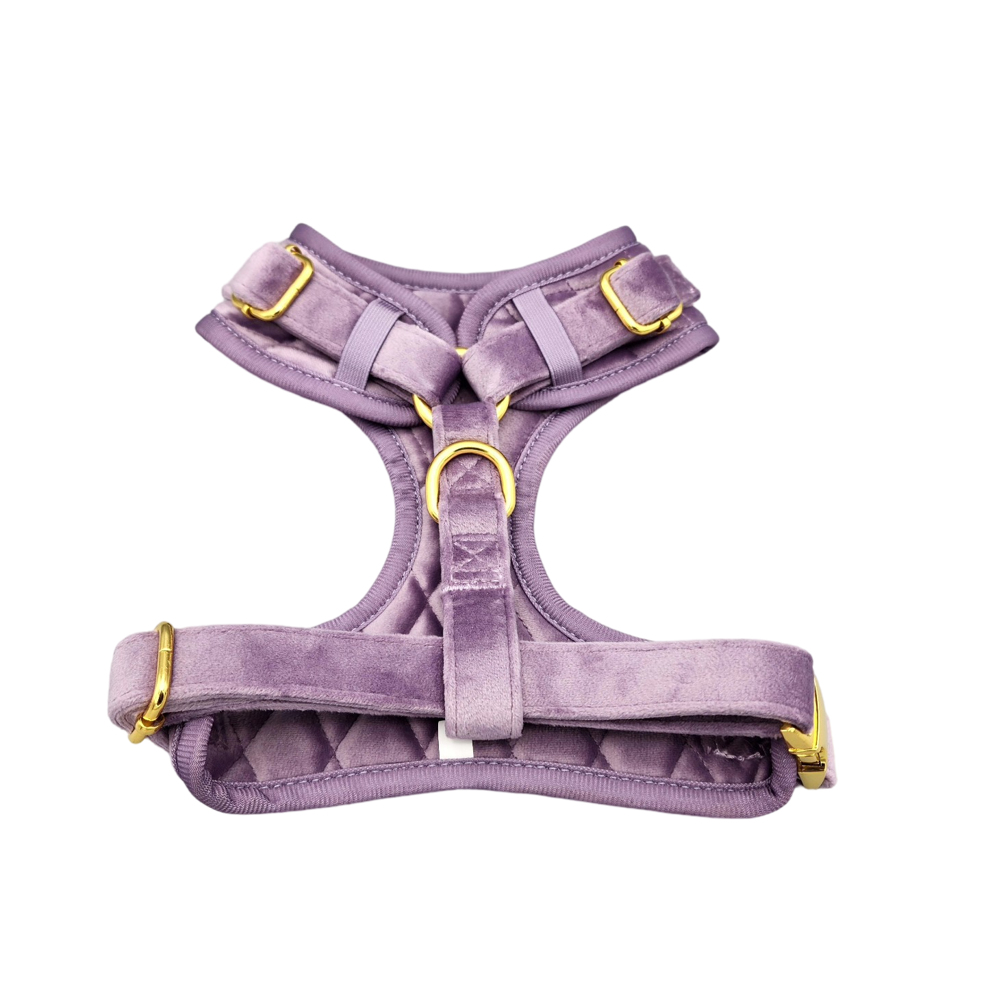 Happi Puppi Kit (Arnés, Leash, Poop Bag, Collar y Lazo) - Violeta