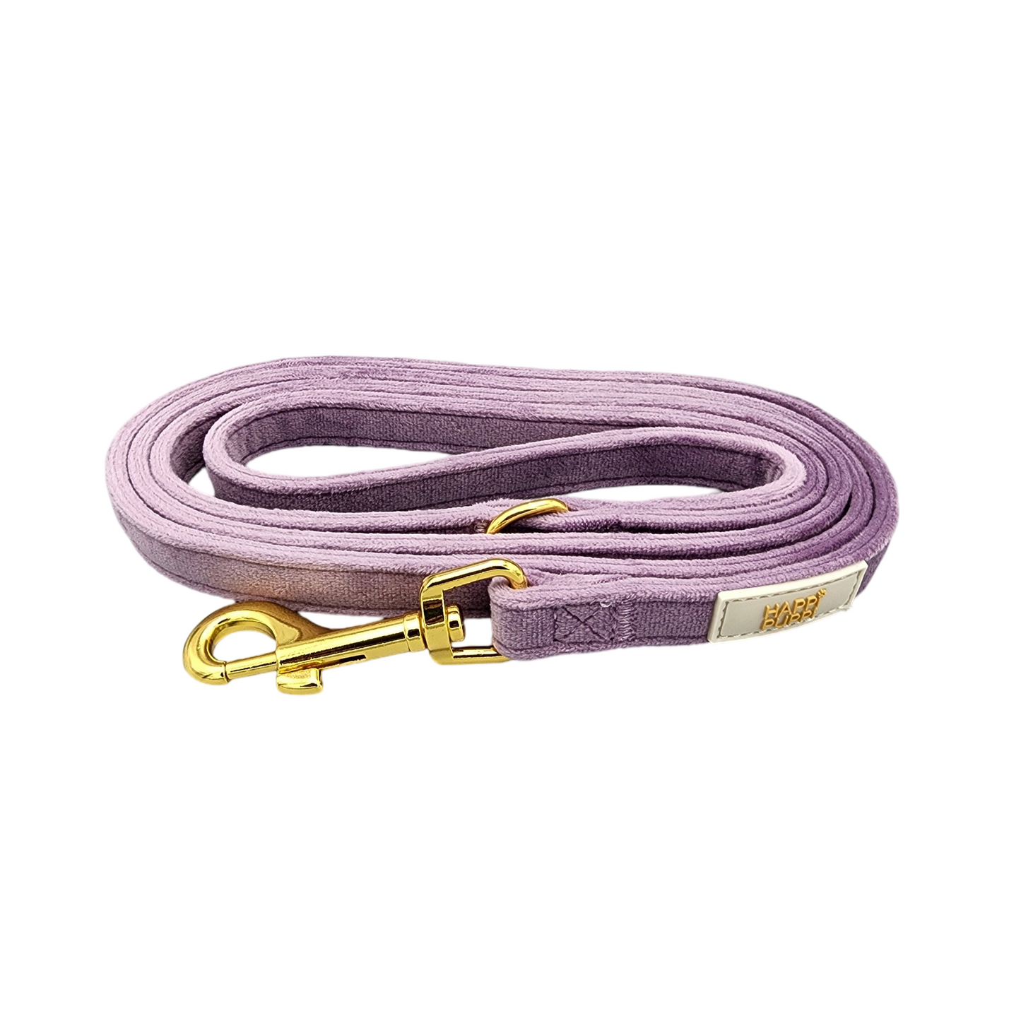 Happi Puppi Kit (Arnés, Leash, Poop Bag, Collar y Lazo) - Violeta