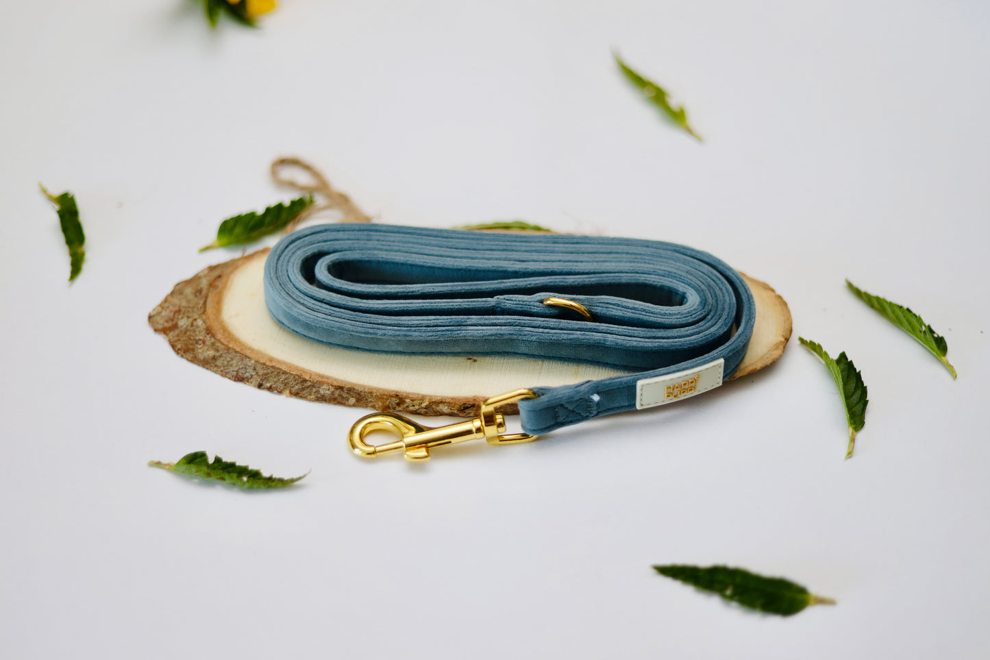 Happi Puppi Kit (Arnés, Leash, Poop Bag, Collar y Lazo) - Azul