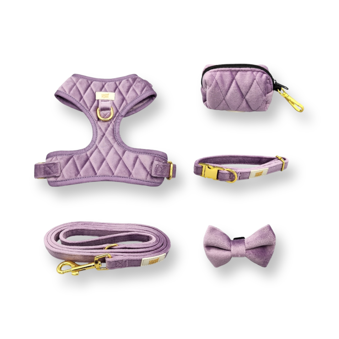 Happi Puppi Kit (Arnés, Leash, Poop Bag, Collar y Lazo) - Violeta