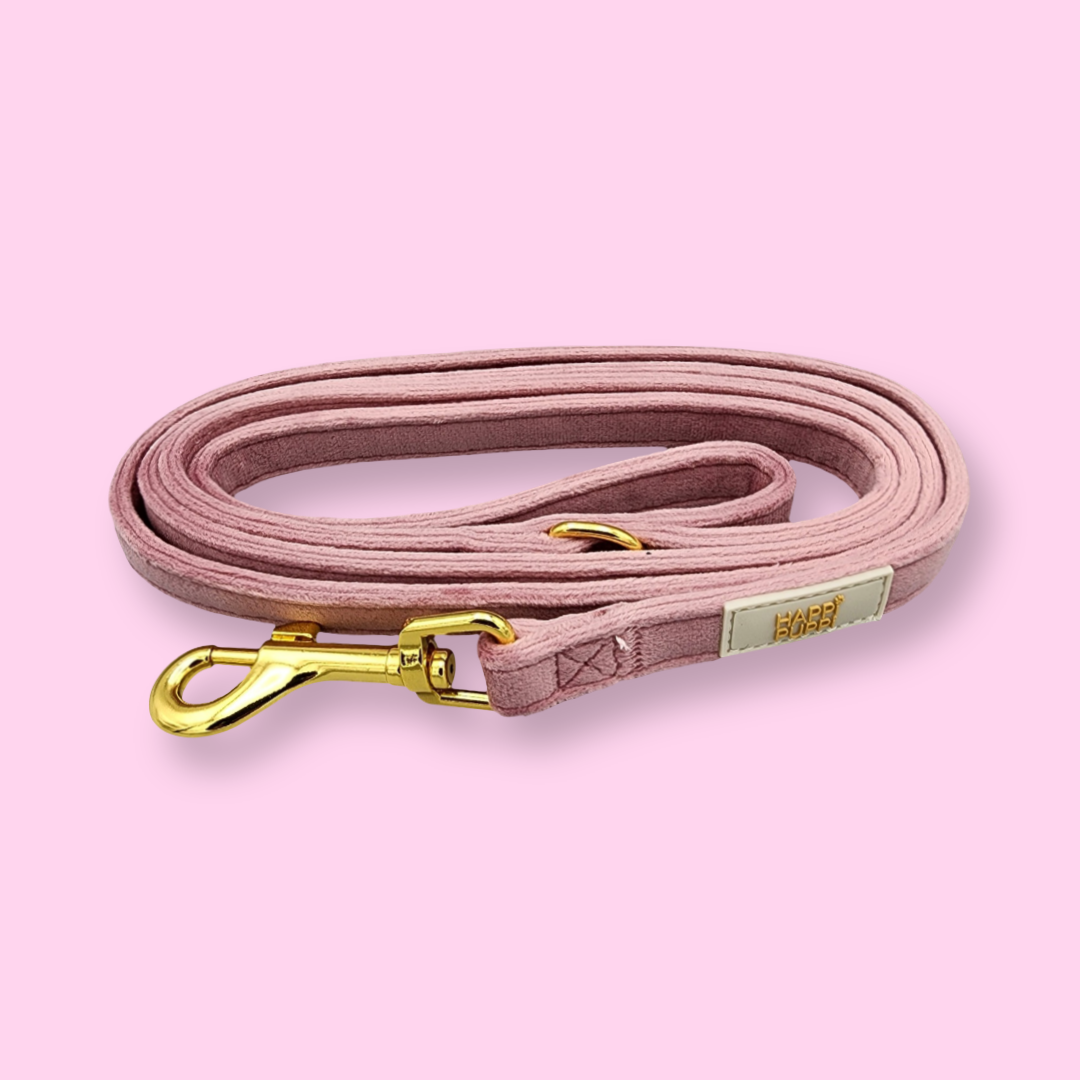 Arnés, Leash y Poop Bag - Rosa