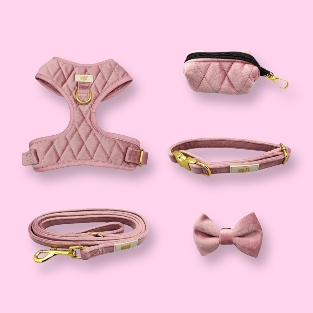 Happi Puppi Kit (Arnés, Leash, Poop Bag, Collar y Lazo) - Rosa