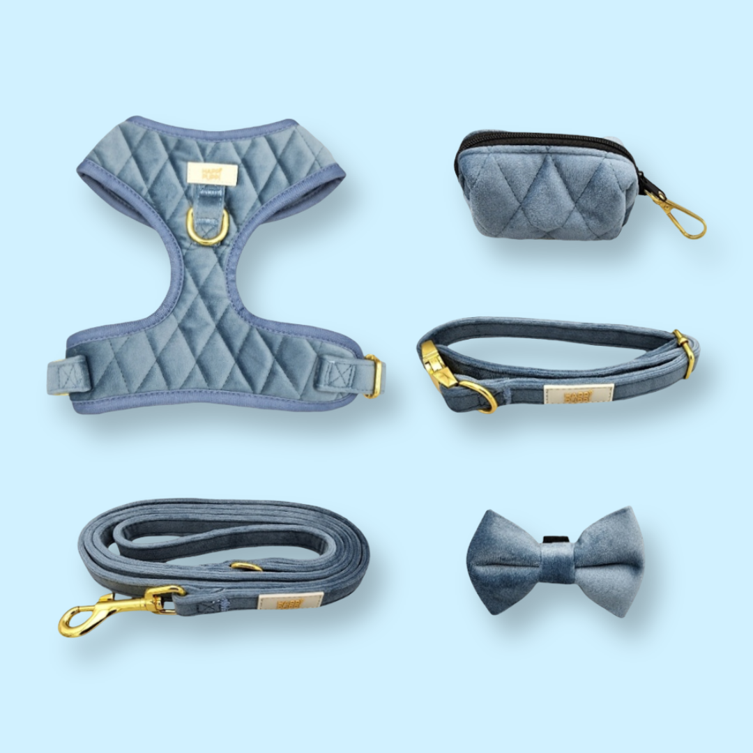 Happi Puppi Kit (Arnés, Leash, Poop Bag, Collar y Lazo) - Azul