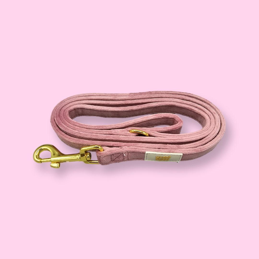 Happi Puppi Kit (Arnés, Leash, Poop Bag, Collar y Lazo) - Rosa