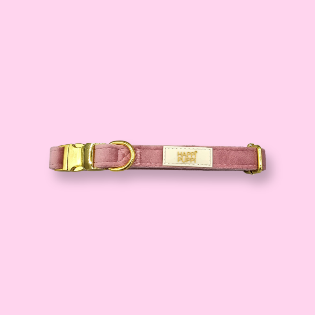 Happi Puppi Kit (Arnés, Leash, Poop Bag, Collar y Lazo) - Rosa