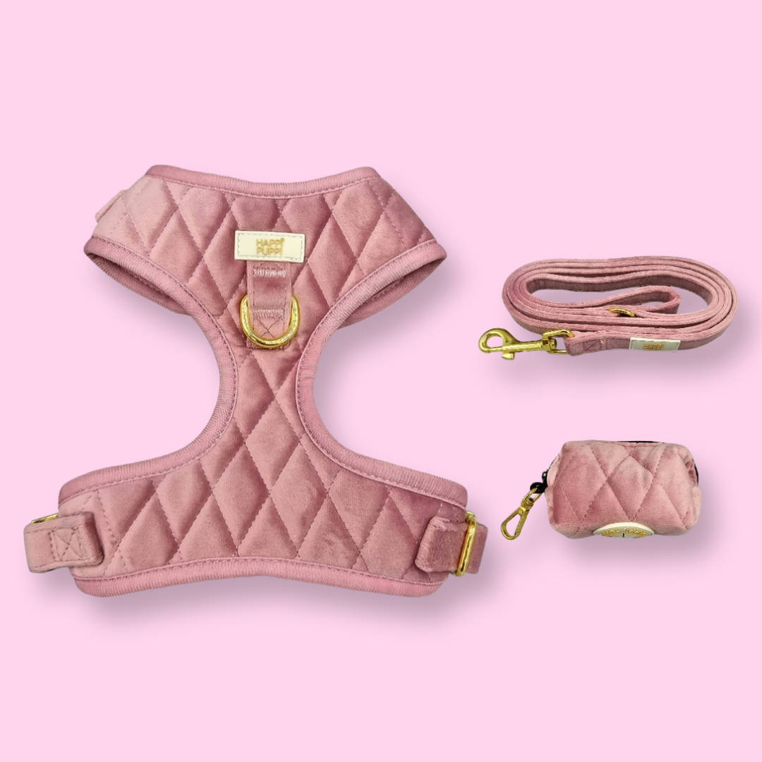 Arnés, Leash y Poop Bag - Rosa